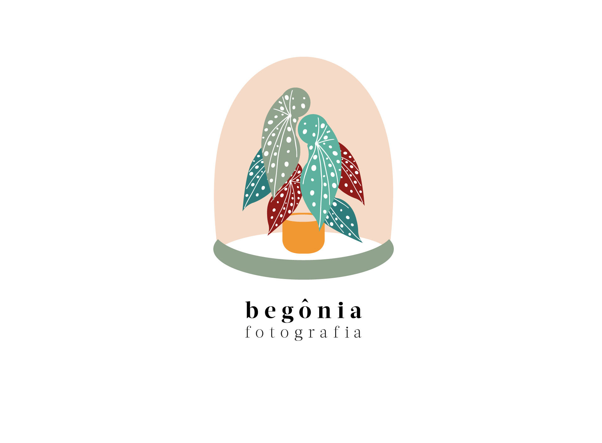 BEGONIA1